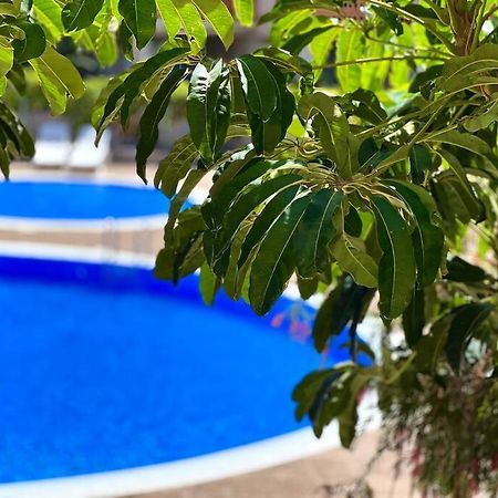 3-Bedrooms Apartament Vista Roja グラナディージャ・デ・アボナ エクステリア 写真