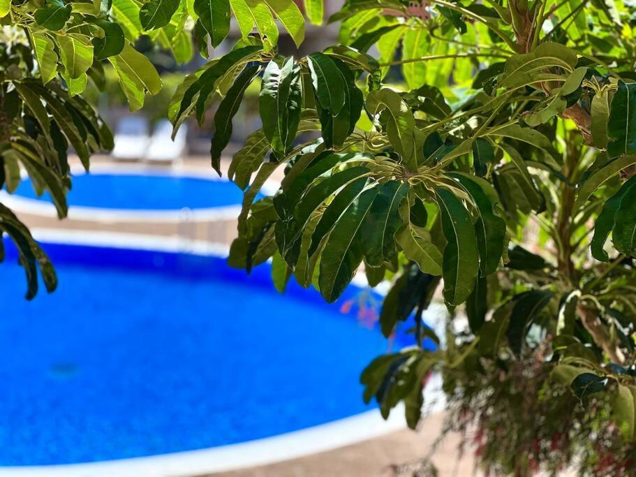 3-Bedrooms Apartament Vista Roja グラナディージャ・デ・アボナ エクステリア 写真